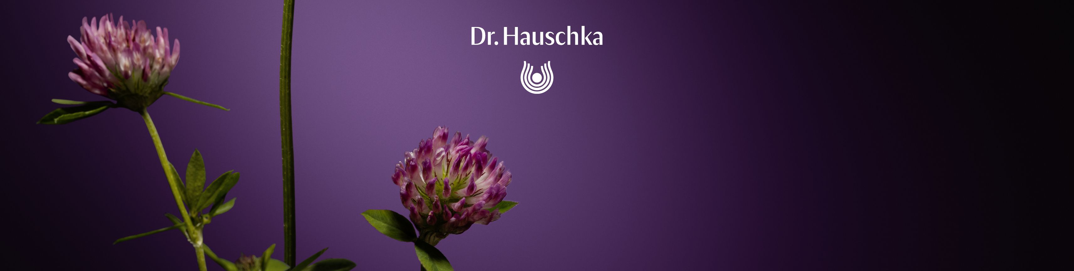 Dr. Hauschka Sortiment